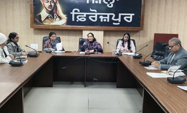 ਰਾਜ ਪੱਧਰੀ ਬਸੰਤ ਮੇਲਾ 27-28 ਜਨਵਰੀ ਨੂੰ ਧੂਮਧਾਮ ਨਾਲ ਮਨਾਇਆ ਜਾਵੇਗਾ - ਡਿਪਟੀ ਕਮਿਸ਼ਨਰ