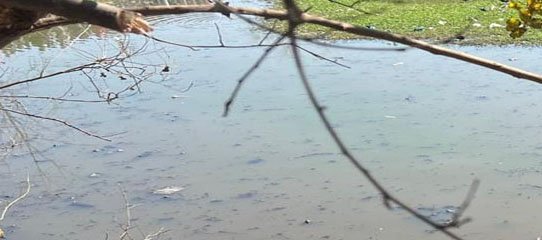 ਬਡਵਾਲੀ ਦੇ ਲਾਪਤਾ ਨੌਜਵਾਨ ਦੀ ਲਾਸ਼ ਪਿੰਡ ਰੁੜਕੀ ਹੀਰਾਂ ਦੇ ਟੋਭੇ 'ਚੋਂ ਬਰਾਮਦ