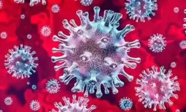 ਹੁਣ Norovirus ਦਾ ਖ਼ਤਰਾ ! ਬ੍ਰਿਟੇਨ ਤੋਂ ਬਾਅਦ ਇਸ ਦੇਸ਼ 'ਚ ਵੱਧ ਰਹੇ ਹਨ ਮਾਮਲੇ, ਜਾਣੋ ਇਸ ਦੇ ਕੀ ਹਨ ਲੱਛਣ