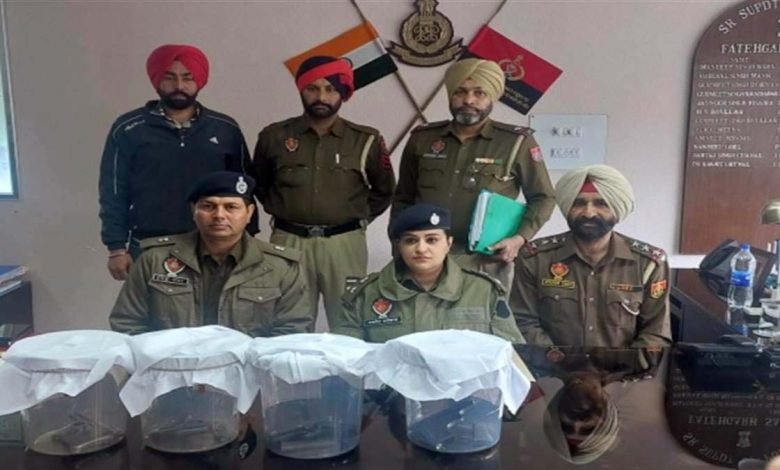 ਅਰਸ਼ ਡੱਲਾ ਗੈਂਗ ਦੇ ਫੜੇ ਗਏ ਮੁਲਜ਼ਮਾਂ ਪਾਸੋਂ 4 ਹੋਰ ਨਾਜਾਇਜ਼ ਪਿਸਤੌਲ ਬਰਾਮਦ