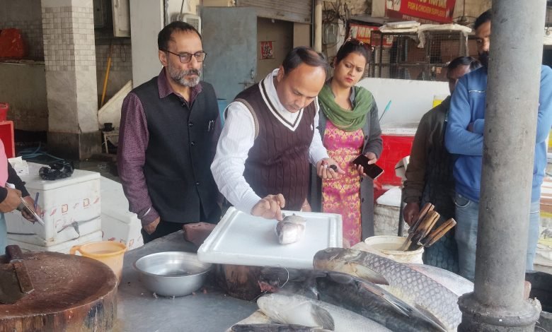 ਫੂਡ ਸੇਫ਼ਟੀ ਵਿਭਾਗ ਵੱਲੋਂ ਜਲੰਧਰ ਦੀ ਮੱਛੀ ਮਾਰਕੀਟ ’ਚ ਚੈਕਿੰਗ