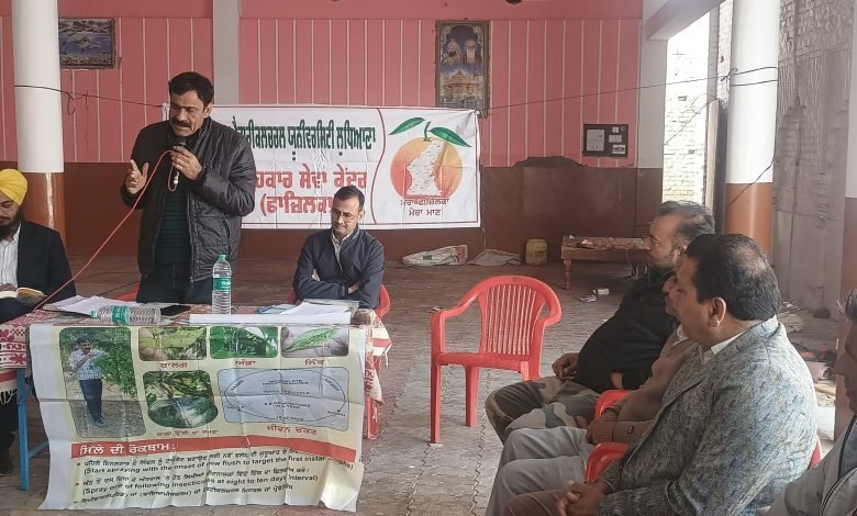 ਪੀਏਯੂ ਫਾਰਮ ਸਲਾਹਕਾਰ ਸੇਵਾ ਅਬੋਹਰ ਵੱਲੋਂ ਪਿੰਡ ਦੀਵਾਨ ਖੇੜਾ ਵਿੱਚ ਬਾਗਵਾਨੀ ਸਬੰਧੀ ਕਿਸਾਨ ਸਿਖਲਾਈ ਕੈਂਪ ਆਯੋਜਿਤ