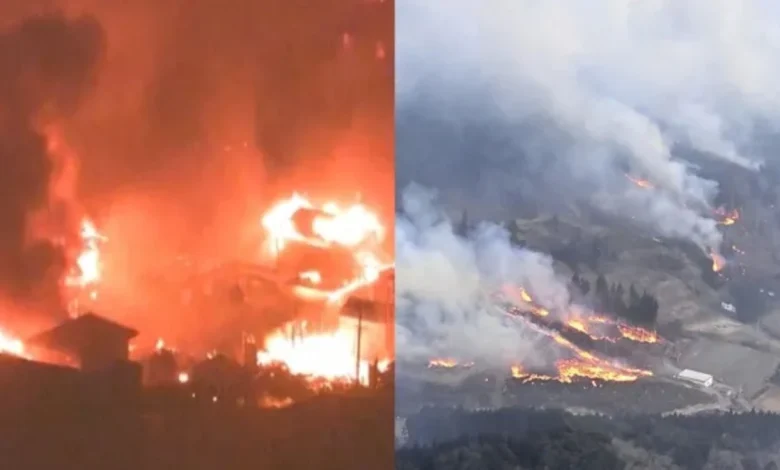 ਜਾਪਾਨ ਦੇ ਜੰਗਲਾਂ 'ਚ ਹੁਣ ਤੱਕ ਦੀ ਸਭ ਤੋਂ ਭਿਆਨਕ ਅੱਗ... ਇੱਕ ਦੀ ਮੌਤ