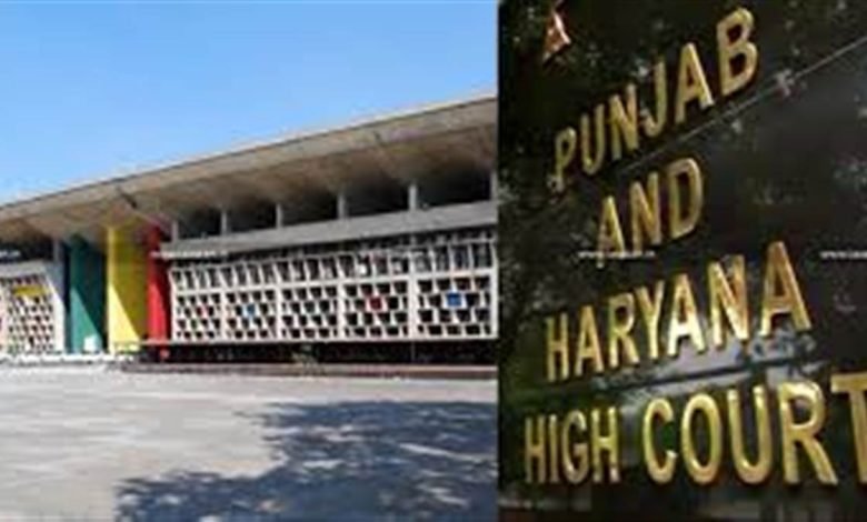 ਵਿਧਵਾ ਨੂੰ ਪੁਨਰ-ਵਿਆਹ ਕਾਰਨ ਨਹੀਂ ਕੀਤਾ ਜਾ ਸਕਦਾ ਮੁਆਵਜ਼ੇ ਤੋਂ ਵਾਂਝਾ, ਹਾਈ ਕੋਰਟ ਨੇ ਹਾਦਸੇ 'ਚ ਮੌਤ ਮਾਮਲੇ 'ਤੇ ਕੀਤੀ ਅਹਿਮ ਟਿੱਪਣੀ