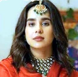 ਪਿੰਕੀ ਧਾਲੀਵਾਲ ਦੀ ਗਿ੍ਫ਼ਤਾਰੀ ਤੋਂ ਬਾਅਦ ਸੁਨੰਦਾ ਸ਼ਰਮਾ ਦਾ ਬਿਆਨ