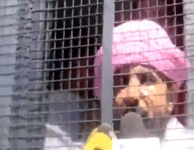 ਅਸੀਂ ਪੰਜਾਬ ਵਿਧਾਨ ਸਭਾ ਦਾ ਘਿਰਾਓ ਕਰਨ ਦਾ ਕੀਤਾ ਹੈ ਫੈਸਲਾ- ਰਾਜਾ ਵੜਿੰਗ ਅਸੀਂ ਪੰਜਾਬ ਵਿਧਾਨ ਸਭਾ ਦਾ ਘਿਰਾਓ ਕਰਨ ਦਾ ਕੀਤਾ ਹੈ ਫੈਸਲਾ- ਰਾਜਾ ਵੜਿੰਗ