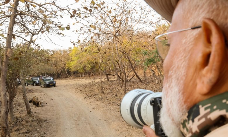  ਏਸ਼ੀਆਈ ਸ਼ੇਰਾਂ ਨੂੰ ਦੇਖਣ ਗਿਰ ਰਾਸ਼ਟਰੀ ਪਾਰਕ ਪੁੱਜੇ ਪ੍ਰਧਾਨ ਮੰਤਰੀ