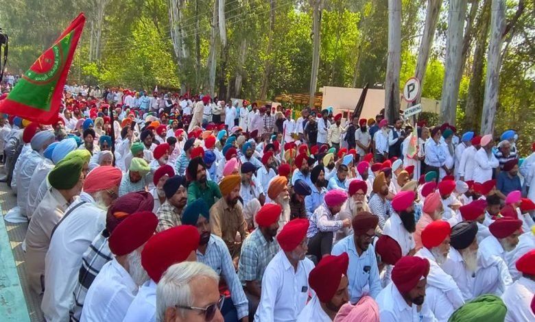 ਕਰਨਲ ਪੁਸ਼ਪਿੰਦਰ ਸਿੰਘ ਬਾਠ ਦੀ ਪਤਨੀ ਤੇ ਸਾਬਕਾ ਸੈਨਿਕ ਜਥੇਬੰਦੀਆਂ ਡਿਪਟੀ ਕਮਿਸ਼ਨਰ ਦਫ਼ਤਰ ਦੇ ਬਾਹਰ ਧਰਨੇ ' ਤੇ ਬੈਠੀਆਂ