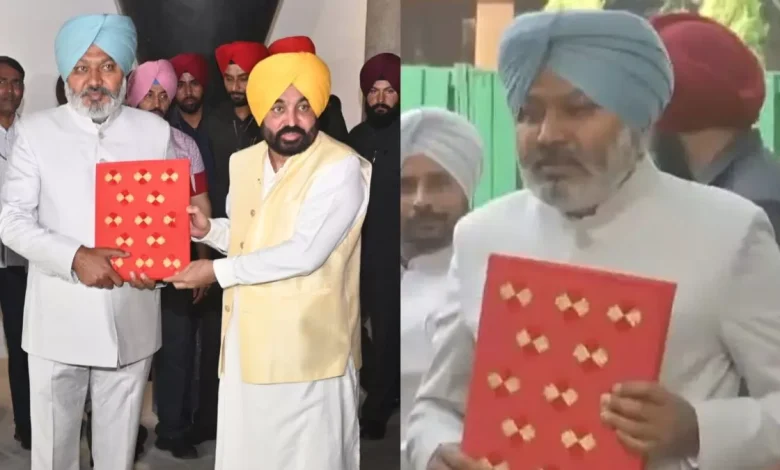 ਅਗਲੇ ਸਾਲ ਸੂਬੇ ਅੰਦਰ ਪਹਿਲੀ ਡਰੱਗ ਸੈਂਸਸ ਕਰਵਾਉਣ ਦਾ ਫੈਸਲਾ, ਸਰਹੱਦ 'ਤੇ ਲਾਗੂ ਹੋਵੇਗਾ ਐਂਟੀ-ਡਰੋਨ ਸਿਸਟਮ