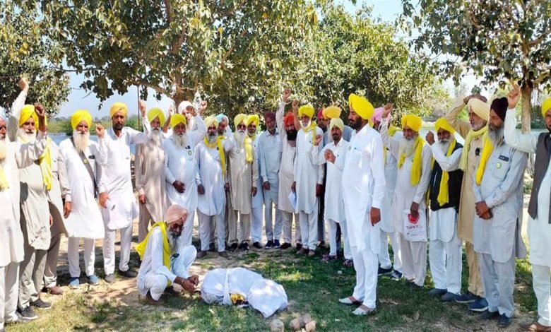 ਮਾਨਸਾ 'ਚ ਸਰਕਾਰ ਦੀ ਅਰਥੀ ਸਾੜਨ ਜਾ ਰਹੇ ਬੀਕੇਯੂ ਸਿੱਧੂਪੁਰ ਦੇ ਆਗੂਆਂ ਨੂੰ ਲਿਆ ਹਿਰਾਸਤ ’ਚ