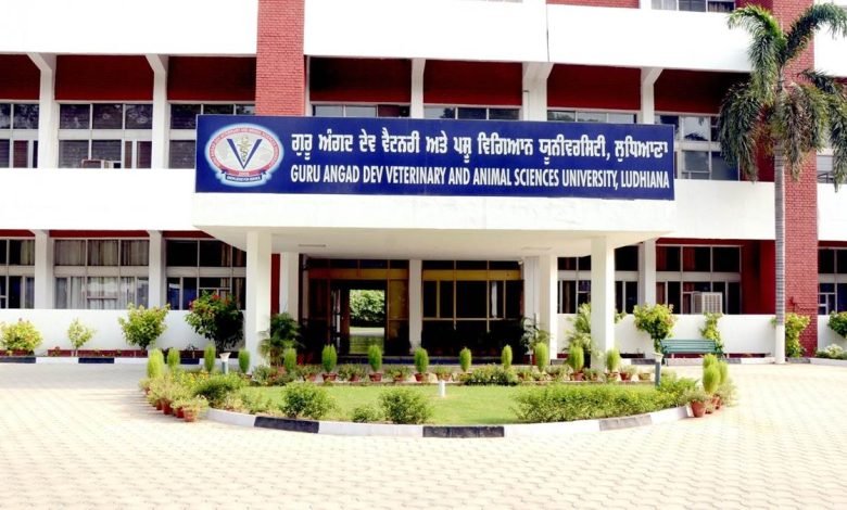 ਵੈਟਰਨਰੀ ’ਵਰਸਿਟੀ ’ਚ ਬਣੇਗਾ ਕੁੱਤਿਆਂ ਦੇ ਵੀਰਜ ਦਾ ਪਹਿਲਾ ਬੈਂਕ