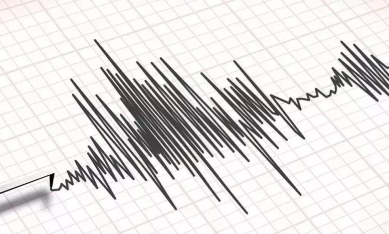 ਅਲਮਾਰੀ 'ਚੋਂ ਡਿੱਗਣ ਲੱਗੀਆਂ ਚੀਜ਼ਾਂ, ਘੁੰਮਣ ਲੱਗ ਪਈ ਲੱਕੜ ਦੀ ਮੇਜ਼; ਭੂਚਾਲ ਦੇ ਤੇਜ਼ ਝਟਕਿਆਂ ਨਾਲ ਕੰਬਿਆ ਨਿਊਜ਼ੀਲੈਂਡ