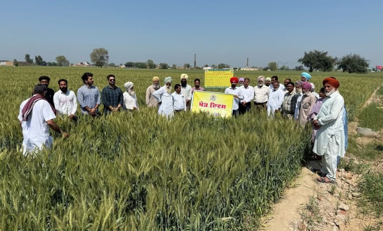 ਪਿੰਡ ਗਹਿਰੀ ਬੁੱਟਰ ਵਿਖੇ ਖੇਤ ਦਿਵਸ ਮਨਾਇਆ
