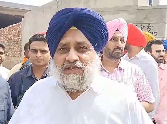 ਦਰਬਾਰ ਸਾਹਿਬ ਕੰਪਲੈਕਸ ਬਾਹਰ ਸੁਖਬੀਰ ਬਾਦਲ 'ਤੇ ਹਮਲੇ ਦਾ ਮਾਮਲਾ: ਐਨਆਈਏ ਨੇ ਸਮਾਂ ਮੰਗਿਆ
