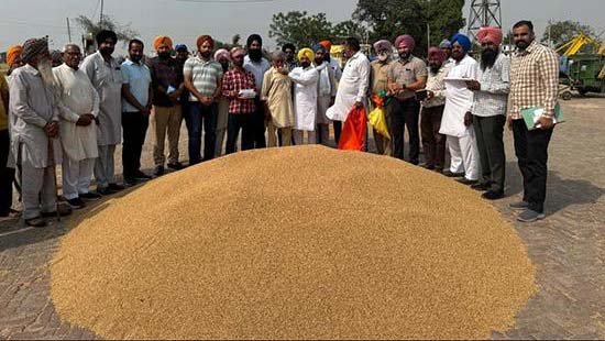 ਮਾਰਕੀਟ ਕਮੇਟੀ ਸਰਹਿੰਦ ਫਤਿਹਗੜ੍ਹ ਸਾਹਿਬ ਦੀਆਂ ਸਾਰੀਆਂ ਮੰਡੀਆਂ ਵਿੱਚ ਕਣਕ ਦੀ ਖਰੀਦ ਸ਼ੁਰੂ ਮਾਰਕੀਟ ਕਮੇਟੀ ਸਰਹਿੰਦ ਫਤਿਹਗੜ੍ਹ ਸਾਹਿਬ ਦੀਆਂ ਸਾਰੀਆਂ ਮੰਡੀਆਂ ਵਿੱਚ ਕਣਕ ਦੀ ਖਰੀਦ ਸ਼ੁਰੂ
