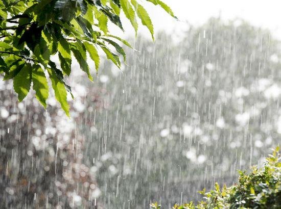 ਭਾਰੀ ਮੀਂਹ ਦੀ ਚੇਤਾਵਨੀ: ਤੇਜ਼ ਹਵਾਵਾਂ ਅਤੇ ਬਾਰਿਸ਼ ਦੀ ਸੰਭਾਵਨਾ, ਮੌਸਮ ਵਿਭਾਗ ਵੱਲੋਂ ਅਲਰਟ ਜਾਰੀ