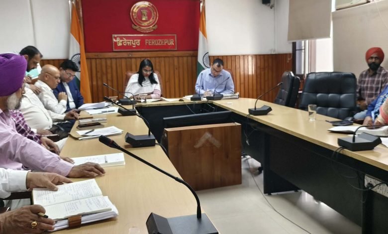 ਡਾਇਰੈਕਟਰ (ਡੀ.ਐਮ.)-ਕਮ-ਵਿਸ਼ੇਸ਼ ਸਕੱਤਰ ਮਾਲ ਨੇ ਆਗਾਮੀ ਹੀਟ ਵੇਵ ਸੀਜ਼ਨ ਦੇ ਮੱਦੇਨਜ਼ਰ ਸਮੀਖਿਆ ਮੀਟਿੰਗ ਕੀਤੀ