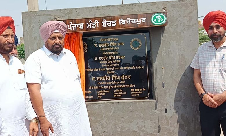 ਵਿਧਾਇਕ ਰਣਬੀਰ ਸਿੰਘ ਭੁੱਲਰ ਨੇ ਦਾਣਾ ਮੰਡੀ ਫਿਰੋਜ਼ਪੁਰ ਸ਼ਹਿਰ ਵਿਖੇ ਹਾਈਮਾਸਟਾਂ ਤੇ ਐਲ.ਈ.ਡੀ ਲਾਈਟਾਂ ਦਾ ਕੀਤਾ ਉਦਘਾਟਨ ਵਿਧਾਇਕ ਰਣਬੀਰ ਸਿੰਘ ਭੁੱਲਰ ਨੇ ਦਾਣਾ ਮੰਡੀ ਫਿਰੋਜ਼ਪੁਰ ਸ਼ਹਿਰ ਵਿਖੇ ਹਾਈਮਾਸਟਾਂ ਤੇ ਐਲ.ਈ.ਡੀ ਲਾਈਟਾਂ ਦਾ ਕੀਤਾ ਉਦਘਾਟਨ