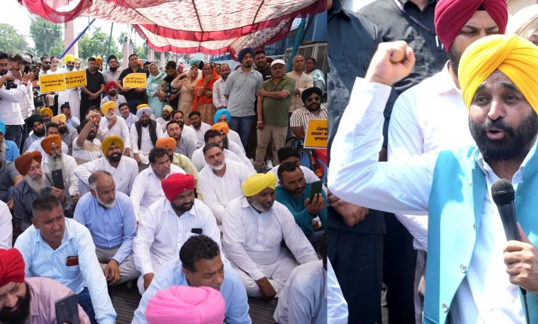 पंजाब के पानी की चोरी करने के भाजपा के घटिया मंसूबे पूरे नहीं होने देंगे - मुख्यमंत्री ने संकल्प दोहराया