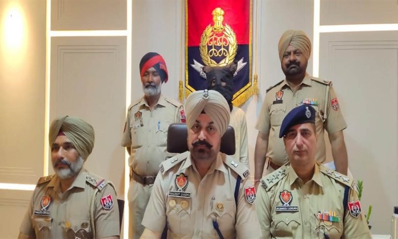 ਨਕਲੀ ਸਾਧੂ ਨੇ ਅਗਵਾ ਕੀਤੀ ਸੀ ਨਾਬਾਲਿਗ ਲੜਕੀ