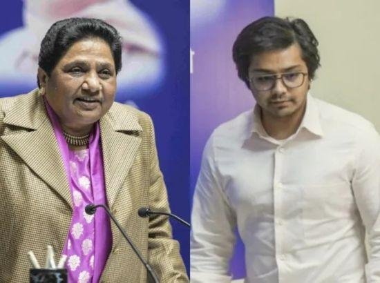 ਆਕਾਸ਼ ਆਨੰਦ ਦੀ BSP ਵਿੱਚ ਵਾਪਸੀ, ਮਾਇਆਵਤੀ ਨੇ ਆਪਣੇ ਭਤੀਜੇ ਨੂੰ ਦਿੱਤਾ ਇਹ ਵੱਡਾ ਅਹੁਦਾ