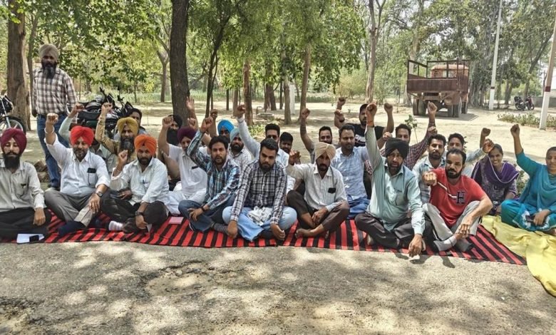 ਬਿਜਲੀ ਕਾਮਿਆ ਨੇ ਭਗਤਾ ਭਾਈ 'ਚ ਕੱਢੀ ਚੇਤਨਾ ਰੈਲੀ, ਕੀਤੀ ਨਾਅਰੇਬਾਜ਼ੀ