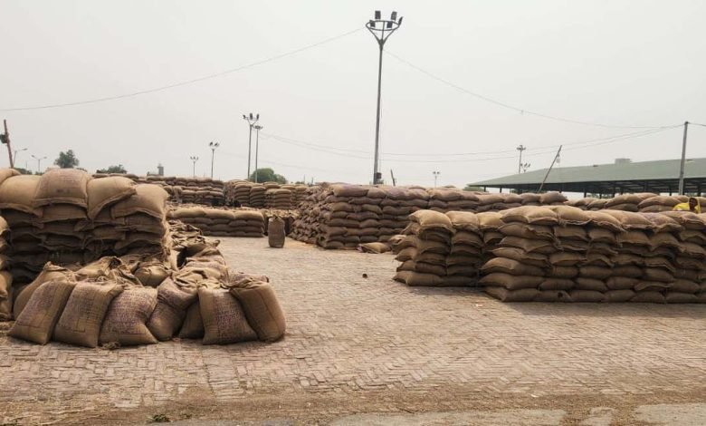 ਲਿਫਟਿੰਗ ਦਾ ਕੰਮ ਸੁਸਤ ਹੋਣ ਕਰਕੇ ਮੰਡੀਆਂ ਵਿੱਚ ਲੱਗੇ ਬੋਰੀਆਂ ਦੇ ਅੰਬਾਰ ਲਿਫਟਿੰਗ ਦਾ ਕੰਮ ਸੁਸਤ ਹੋਣ ਕਰਕੇ ਮੰਡੀਆਂ ਵਿੱਚ ਲੱਗੇ ਬੋਰੀਆਂ ਦੇ ਅੰਬਾਰ