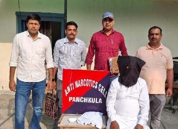 पंचकूला पुलिस की बड़ी कार्रवाई: एक किलो से अधिक चरस के साथ तस्कर गिरफ्तार, नेटवर्क की कमर तोड़ने की तैयारी