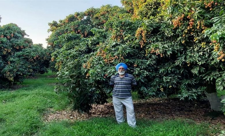 ਪਾਕਿ ਦੇ ‘ਸਰਦਾਰ ਸਾਹਿਬ’ ਦੀ ਬਾਗ਼ਾਂ ਦੀ ਵਿਰਾਸਤ ਨੂੰ ਹਿੰਦੁਸਤਾਨ ’ਚ ਅੱਗੇ ਤੋਰ ਰਹੀ ਹੈ ਪੰਜਵੀਂ ਪੀੜ੍ਹੀ