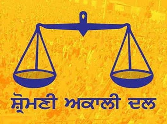 ਅਕਾਲੀ ਦਲ ਨੇ ਝੂਠੇ ਕੇਸ ਵਿਚ ਬਿਕਰਮ ਮਜੀਠੀਆ ਦੀ ਗ੍ਰਿਫਤਾਰੀ ਦੀ ਕੀਤੀ ਨਿਖੇਧੀ