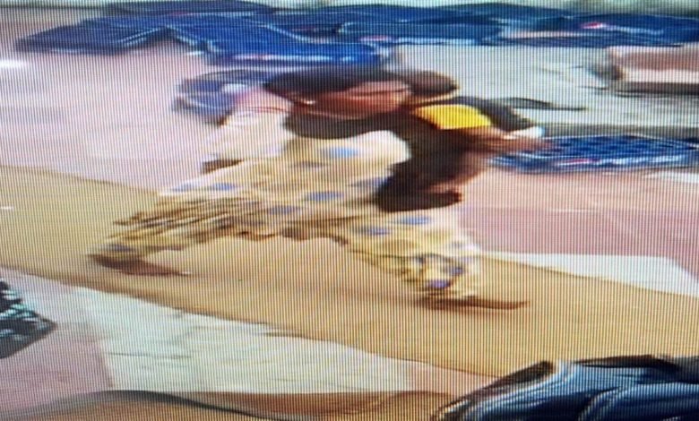 ਸ੍ਰੀ ਹਰਿਮੰਦਰ ਸਾਹਿਬ ਦੀ ਸਰਾਂ 'ਚੋਂ ਬੱਚਾ ਚੋਰੀ, CCTV 'ਚ ਕੈਦ ਹੋਈ ਮੁਲਜ਼ਮ ਔਰਤ ਆਈ ਕਾਬੂ