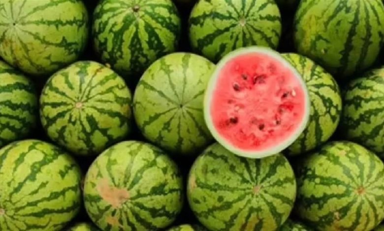 ਤਰਬੂਜ਼ ’ਚ ਛਿਪਾ ਕੇ ਲਿਆ ਰਹੇ ਸਨ ਕਰੋੜਾਂ ਦੀ ਚੀਜ਼, ਦਿੱਲੀ ਪੁਲਿਸ ਦੇ ਵੀ ਉੱਡ ਗਏ ਹੋਸ਼; ਮਾਮਲੇ ਵਿਚ ਦੋ ਗ੍ਰਿਫ਼ਤਾਰ ਤਰਬੂਜ਼ ’ਚ ਛਿਪਾ ਕੇ ਲਿਆ ਰਹੇ ਸਨ ਕਰੋੜਾਂ ਦੀ ਚੀਜ਼, ਦਿੱਲੀ ਪੁਲਿਸ ਦੇ ਵੀ ਉੱਡ ਗਏ ਹੋਸ਼; ਮਾਮਲੇ ਵਿਚ ਦੋ ਗ੍ਰਿਫ਼ਤਾਰ