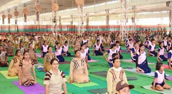 ਡੇਰਾ ਸੱਚਾ ਸੌਦਾ ਸਿਰਸਾ ਵਿਖੇ ਉਤਸ਼ਾਹ ਨਾਲ ਮਨਾਇਆ ਕੌਮਾਂਤਰੀ ਯੋਗ ਦਿਵਸ ਡੇਰਾ ਸੱਚਾ ਸੌਦਾ ਸਿਰਸਾ ਵਿਖੇ ਉਤਸ਼ਾਹ ਨਾਲ ਮਨਾਇਆ ਕੌਮਾਂਤਰੀ ਯੋਗ ਦਿਵਸ