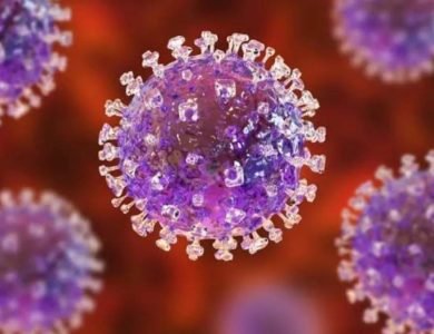 ਪਾਕਿਸਤਾਨ 'ਚ ਖ਼ਤਰਨਾਕ ਵਾਇਰਸ ਦੀ ਦਸਤਕ, 3 ਲੋਕਾਂ ਦੀ ਮੌਤ ਨਾਲ ਮਚਿਆ ਬਵਾਲ