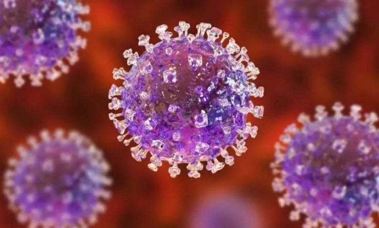 ਪਾਕਿਸਤਾਨ 'ਚ ਖ਼ਤਰਨਾਕ ਵਾਇਰਸ ਦੀ ਦਸਤਕ, 3 ਲੋਕਾਂ ਦੀ ਮੌਤ ਨਾਲ ਮਚਿਆ ਬਵਾਲ