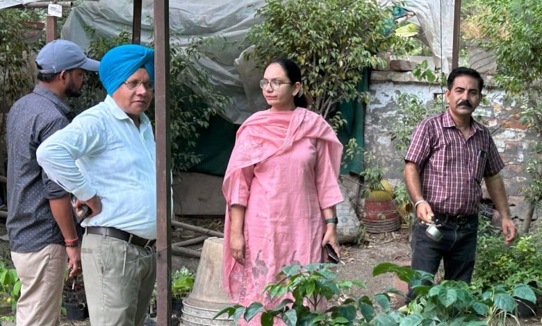 ਨਰਸਰੀਆਂ , ਉਸਾਰੀ ਅਧੀਨ ਇਮਾਰਤਾ ਤੇ ਰੇਲਵੇ ਸਟੇਸ਼ਨ 'ਤੇ ਡਰਾਈ ਡੇ ਮਨਾਇਆ