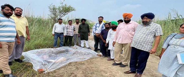 ਪਿੰਡ ਵਿਰਕ ਖੇੜਾ ’ਚ ਦੋ ਗਰਭਵਤੀ ਨੀਲ ਗਊਆਂ ਦੀ ਹੱਤਿਆ, ਲੋਕਾਂ 'ਚ ਰੋਸ ਦੀ ਲਹਿਰ