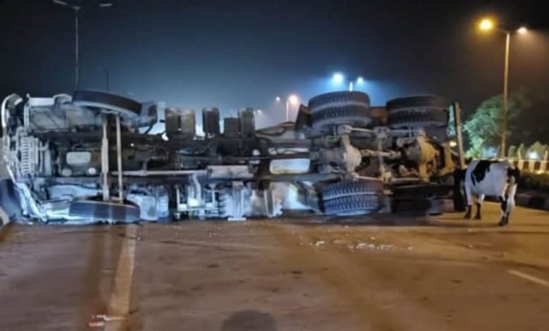 ਬਠਿੰਡਾ-ਅੰਮ੍ਰਿਤਸਰ ਨੈਸ਼ਨਲ ਹਾਈਵੇ ’ਤੇ ਅਵਾਰਾ ਪਸ਼ੂਆਂ ਦਾ ਆਤੰਕ, ਬੱਜਰੀ ਦਾ ਭਰੇ ਟਰਾਲੇ ਦੇ ਅੱਗੇ ਆਉਣ ਨਾਲ ਸੜਕ 'ਤੇ ਪਲਟਿਆ ਟਰਾਲਾ