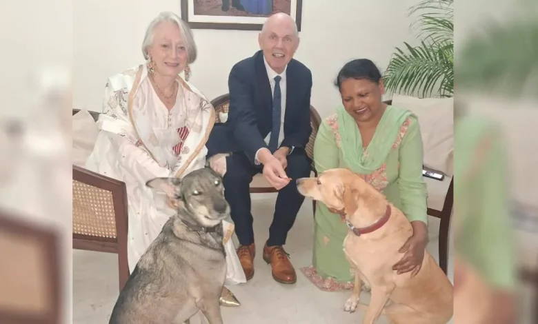 ਚੰਡੀਗੜ੍ਹ ਦੇ ਸਟ੍ਰੀਟ ਡਾਗ, ਹੁਣ ਕਰਨਗੇ ਲੰਡਨ ਦੀ ਸੈਰ