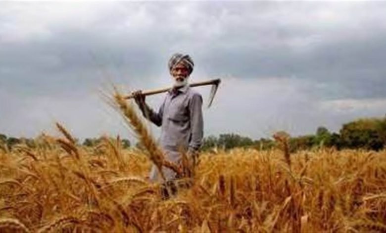 ਦੇਸ਼ 'ਚ ਪੰਜਾਬ ਦੇ ਕਿਸਾਨ ਸਭ ਤੋਂ ਵੱਧ ਕਰਜ਼ਾਈ, ਹਰੇਕ 'ਤੇ 2.77 ਲੱਖ ਦਾ ਕਰਜ਼; ਗੁਜਰਾਤ ਦੇ ਕਿਸਾਨ ਦੂਜੇ ਤੇ ਹਰਿਆਣਾ ਦੇ ਤੀਜੇ ਨੰਬਰ 'ਤੇ