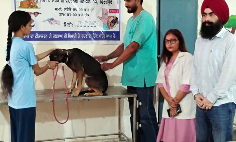 ਵਿਸ਼ਵ ਜ਼ੂਨੋਸਿਸ ਦਿਵਸ ਤਹਿਤ ਅਵਾਰਾ ਕੁੱਤਿਆਂ ਨੂੰ ਮੁਫ਼ਤ ਐਂਟੀ-ਰੇਬੀਜ਼ ਟੀਕਾਕਰਨ ਕੈਂਪ ਆਯੋਜਿਤ ਵਿਸ਼ਵ ਜ਼ੂਨੋਸਿਸ ਦਿਵਸ ਤਹਿਤ ਅਵਾਰਾ ਕੁੱਤਿਆਂ ਨੂੰ ਮੁਫ਼ਤ ਐਂਟੀ-ਰੇਬੀਜ਼ ਟੀਕਾਕਰਨ ਕੈਂਪ ਆਯੋਜਿਤ