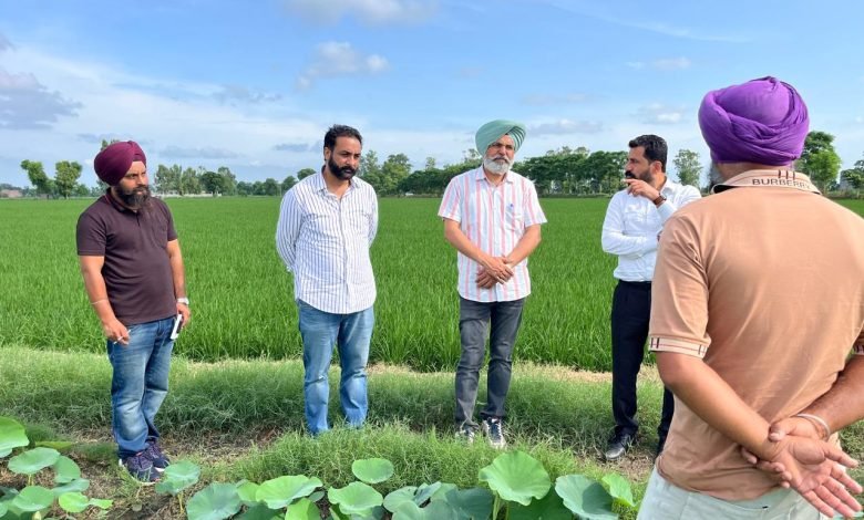 ਪੀ.ਏ.ਯੂ. ਕ੍ਰਿਸ਼ੀ ਵਿਗਿਆਨ ਕੇਂਦਰ, ਫਿਰੋਜ਼ਪੁਰ ਵੱਲੋਂ ਝੋਨੇ ਦੀ ਸਿੱਧੀ ਬਿਜਾਈ ਸਬੰਧੀ ਕਿਸਾਨ-ਵਿਗਿਆਨੀ ਮਿਲਣੀ ਆਯੋਜਿਤ ਪੀ.ਏ.ਯੂ. ਕ੍ਰਿਸ਼ੀ ਵਿਗਿਆਨ ਕੇਂਦਰ, ਫਿਰੋਜ਼ਪੁਰ ਵੱਲੋਂ ਝੋਨੇ ਦੀ ਸਿੱਧੀ ਬਿਜਾਈ ਸਬੰਧੀ ਕਿਸਾਨ-ਵਿਗਿਆਨੀ ਮਿਲਣੀ ਆਯੋਜਿਤ