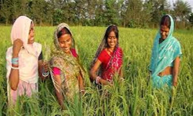 ਖੇਤੀਬਾੜੀ ’ਚ ਵਧ ਰਹੀ ਔਰਤਾਂ ਦੀ ਹਿੱਸੇਦਾਰੀ