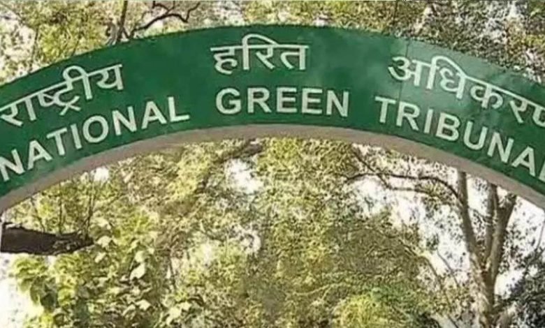 ਪੰਜਾਬ ਸਰਕਾਰ ਨੂੰ ਵੱਡਾ ਝਟਕਾ ! NGT ਨੇ PPCB ਤੇ ਜੰਗਲਾਤ ਮਹਿਕਮੇ ਦੇ 334 ਕਰੋੜ ਰੁਪਏ ਦੀ ਵਰਤੋਂ 'ਤੇ ਲਾਈ ਰੋਕ