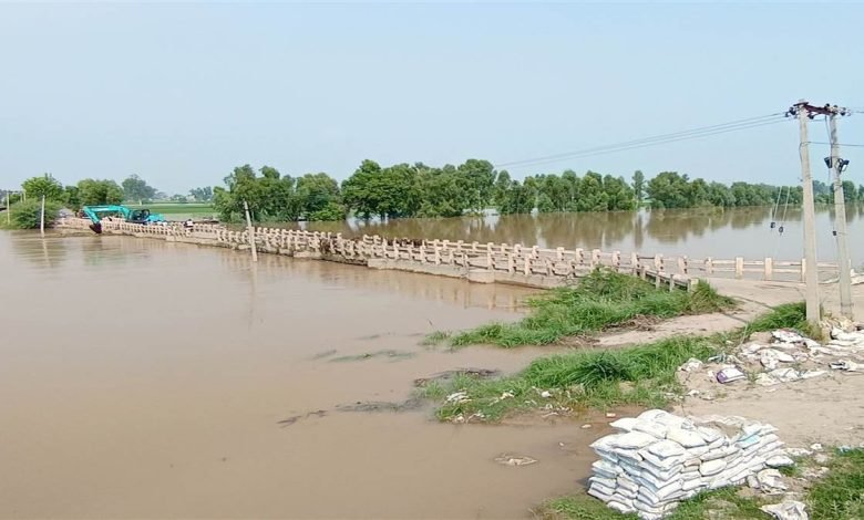 ਸਰਹੱਦੀ ਪਿੰਡਾਂ ਨੂੰ ਜੋੜਨ ਵਾਲੇ ਪੁਲ 'ਤੇ ਹੜ੍ਹ ਦੀ ਮਾਰ, ਇੱਕ ਫੁੱਟ ਹੇਠਾਂ ਵਹਿ ਰਿਹਾ ਪਾਣੀ