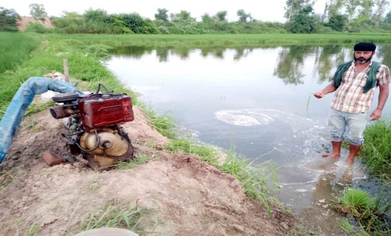 ਧੁੱਸੀ ਬੰਨ੍ਹ ਨੇੜ੍ਹੇ ਪਾਣੀ ਦਾ ਪੱਧਰ ਵਧਣਾ ਸ਼ੁਰੂ, ਬੰਨ੍ਹ ’ਤੇ ਪਏ ਵੱਡੇ ਖੱਡੇ ਡਰੇਨੇਜ਼ ਵਿਭਾਗ ਦੀ ਲਾਪਰਵਾਹੀ