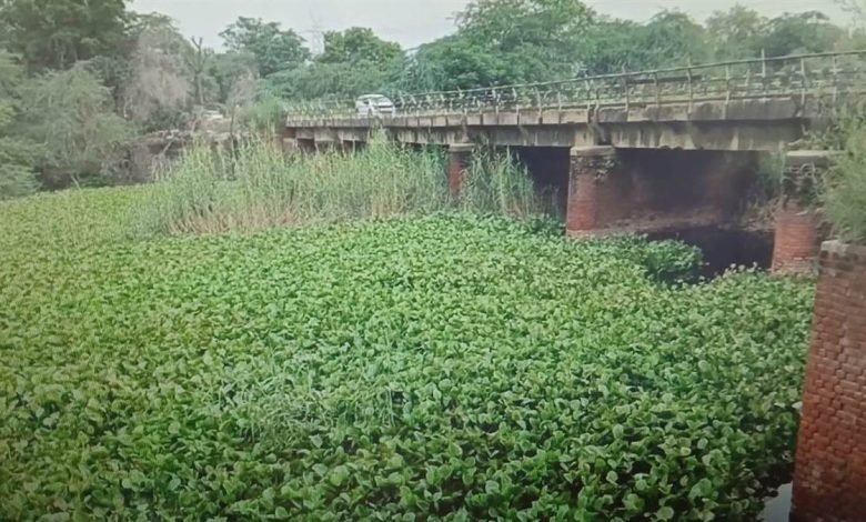 ਸਰਕਾਰਾਂ ਲਸਾੜਾ ਨਾਲੇ ਦੀ ਸਫ਼ਾਈ ਕਰਨੀਆਂ ਭੁੱਲੀਆਂ ਸਰਕਾਰਾਂ ਲਸਾੜਾ ਨਾਲੇ ਦੀ ਸਫ਼ਾਈ ਕਰਨੀਆਂ ਭੁੱਲੀਆਂ