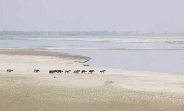 ਭਾਰਤ ਨਾਲ ਪੰਗਾ ਲੈਣਾ ਪਾਕਿ ਨੂੰ ਪੈ ਰਿਹੈ ਮਹਿੰਗਾ, ਸਿੰਧੂ ਨਦੀ ਦਾ 80% ਸੁੱਕਿਆ ਪਾਣੀ; 12 ਲੱਖ ਲੋਕ ਹਿਜਰਤ ਕਰਨ ਲਈ ਮਜਬੂਰ