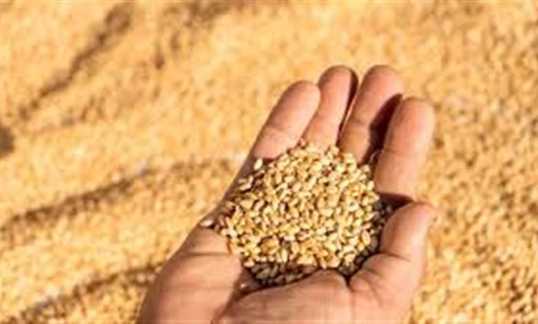 30 ਲੱਖ ਲੋਕਾਂ ਨੂੰ ਨਹੀਂ ਮਿਲੇਗੀ ਇਸ ਤਿਮਾਹੀ ਮੁਫ਼ਤ ਦੀ ਕਣਕ