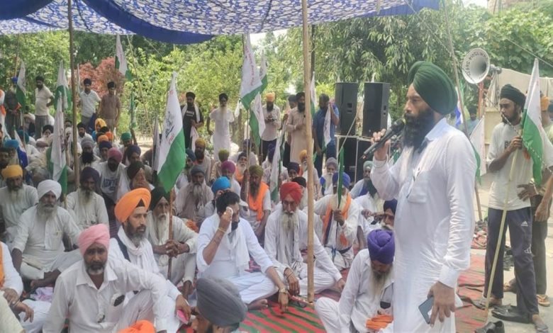 ਹੜ੍ਹ ਪੀੜਤ ਕਿਸਾਨ ਸੰਘਰਸ਼ ਕਮੇਟੀ ਵੱਲੋਂ ਹਰੀਕੇ ਹੈੱਡ ਵਰਕਸ ’ਤੇ ਦਿੱਤਾ ਧਰਨਾ ਹੜ੍ਹ ਪੀੜਤ ਕਿਸਾਨ ਸੰਘਰਸ਼ ਕਮੇਟੀ ਵੱਲੋਂ ਹਰੀਕੇ ਹੈੱਡ ਵਰਕਸ ’ਤੇ ਦਿੱਤਾ ਧਰਨਾ